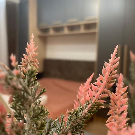 Daf Apartaments Приштина Экстерьер фото