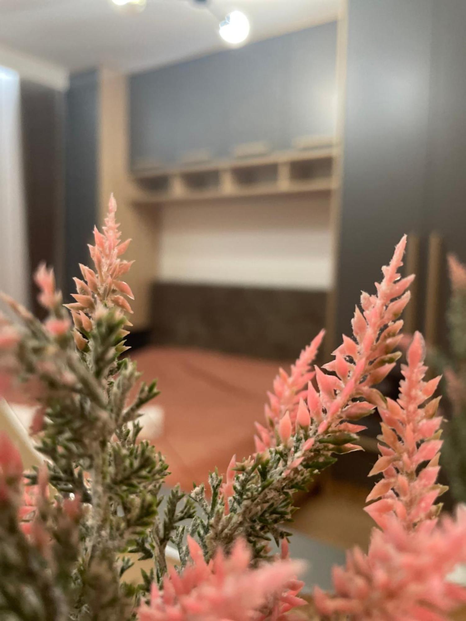 Daf Apartaments Приштина Экстерьер фото